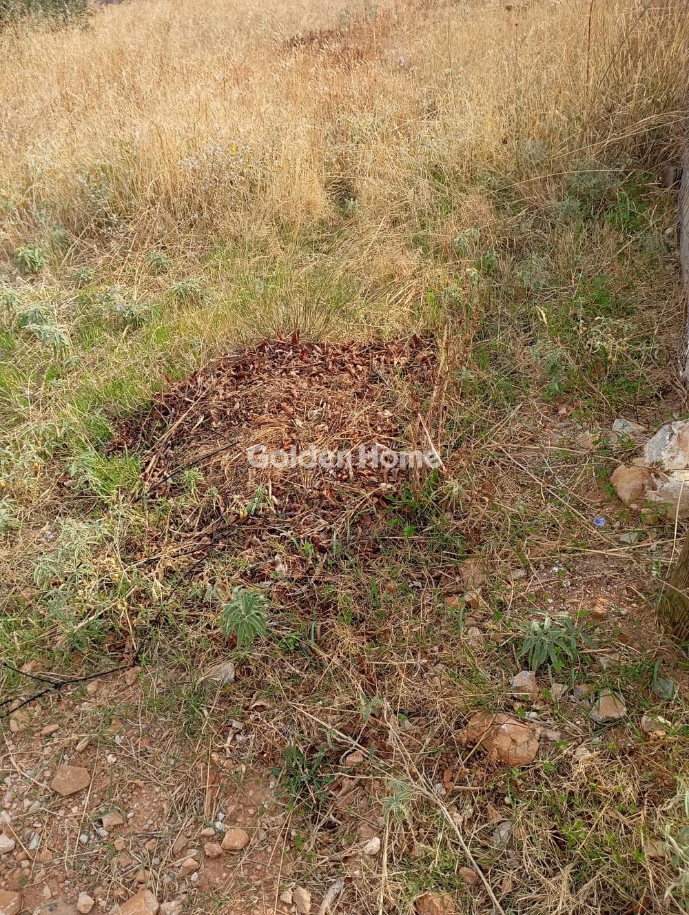 Building Plot in Oikismos Kokkino Limanaki, Rafina — Photo 3 of 4