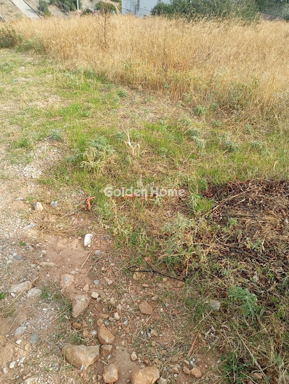 Building Plot in Oikismos Kokkino Limanaki, Rafina — Photo 4 of 4