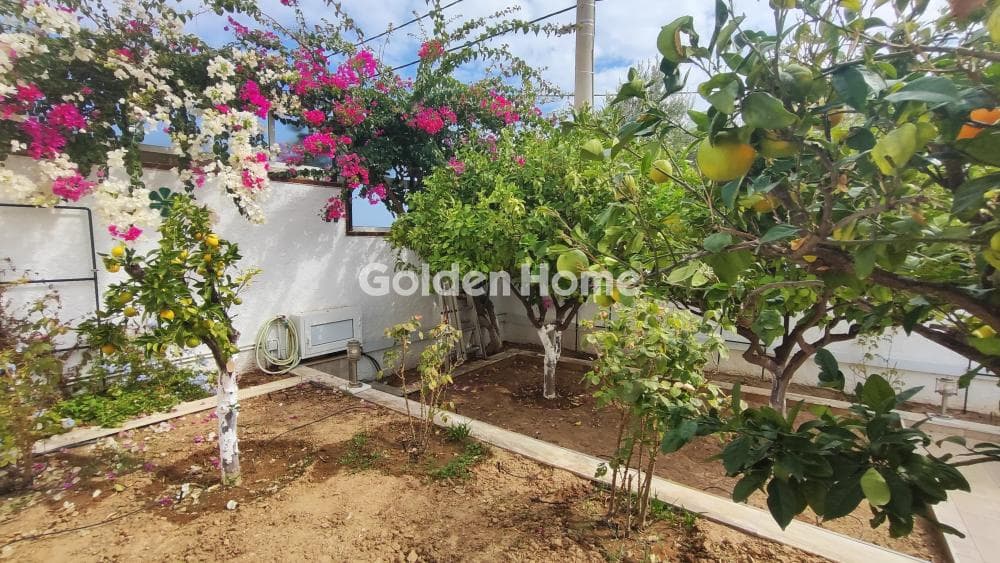 House in Kakia Thalassa, Keratea — Photo 30 of 36