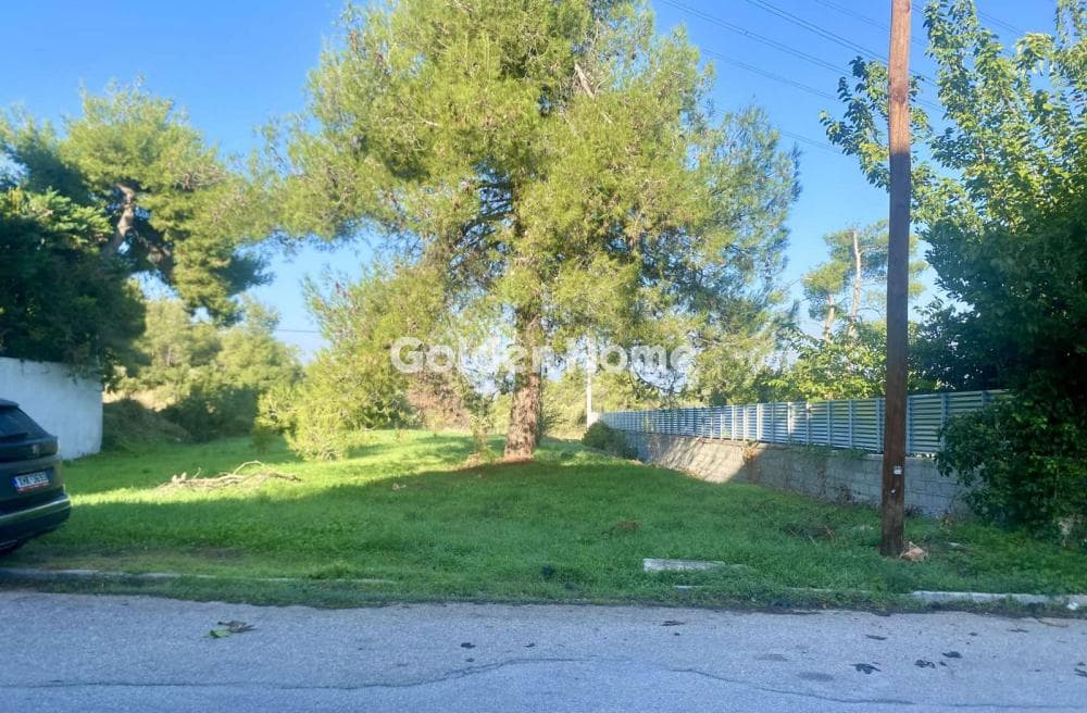 Αγροτεμάχιο στην Δροσιά, Δροσιά — Φωτογραφία 4 από 6