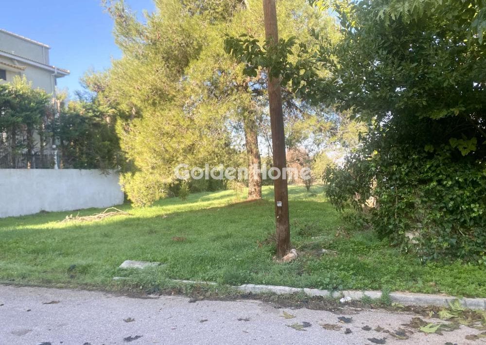 Αγροτεμάχιο στην Δροσιά, Δροσιά — Φωτογραφία 5 από 6