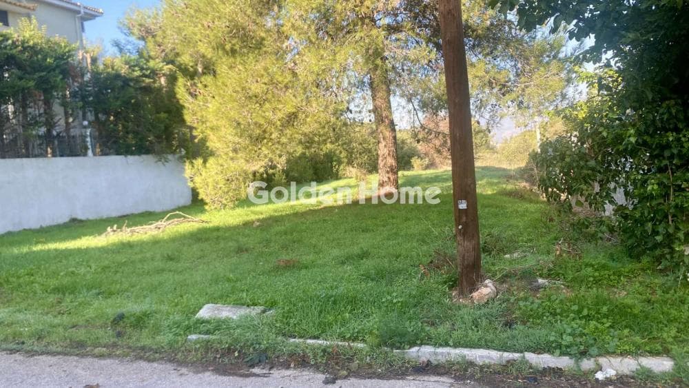 Αγροτεμάχιο στην Δροσιά, Δροσιά — Φωτογραφία 2 από 6
