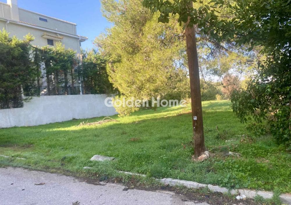 Αγροτεμάχιο στην Δροσιά, Δροσιά — Φωτογραφία 6 από 6