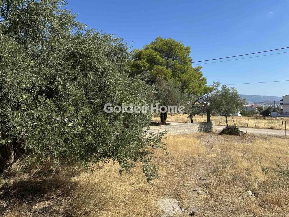 Parcel in Megala Sxoinia A, Acharnes — Photo 1 of 4