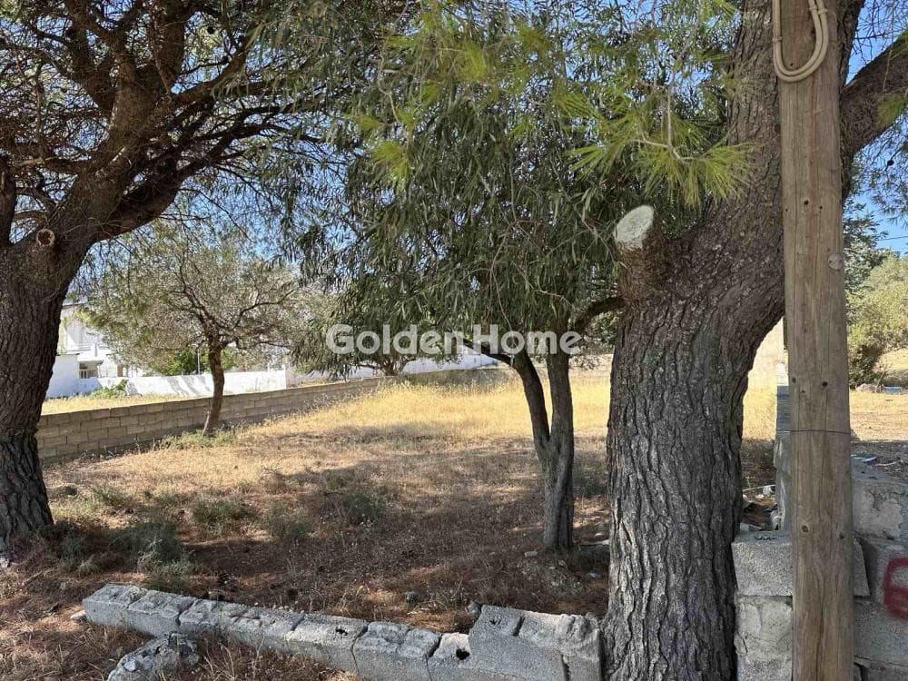 Parcel in Megala Sxoinia A, Acharnes — Photo 2 of 4