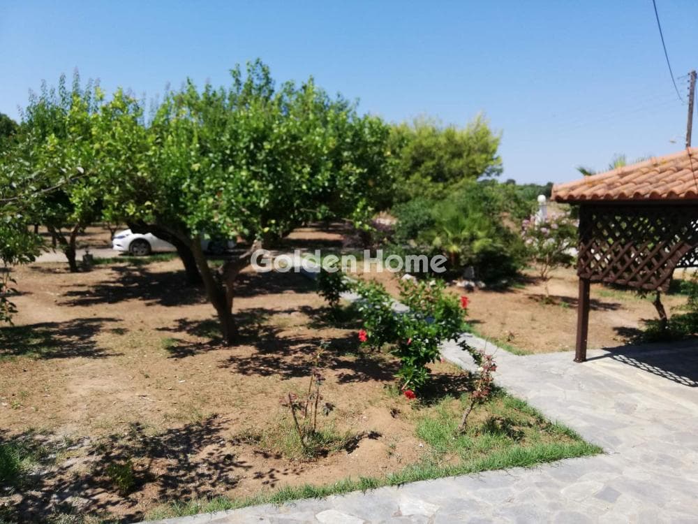 Μονοκατοικία στην Νεάπολη, Πάτρα — Φωτογραφία 20 από 20