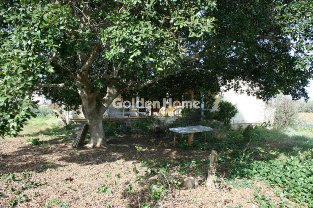 Οικόπεδο στην Ανάληψη, Γούβες — Φωτογραφία 2 από 2