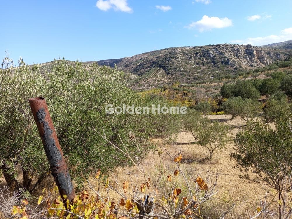 Parcel in Mirtia, Episkopi — Photo 1 of 5