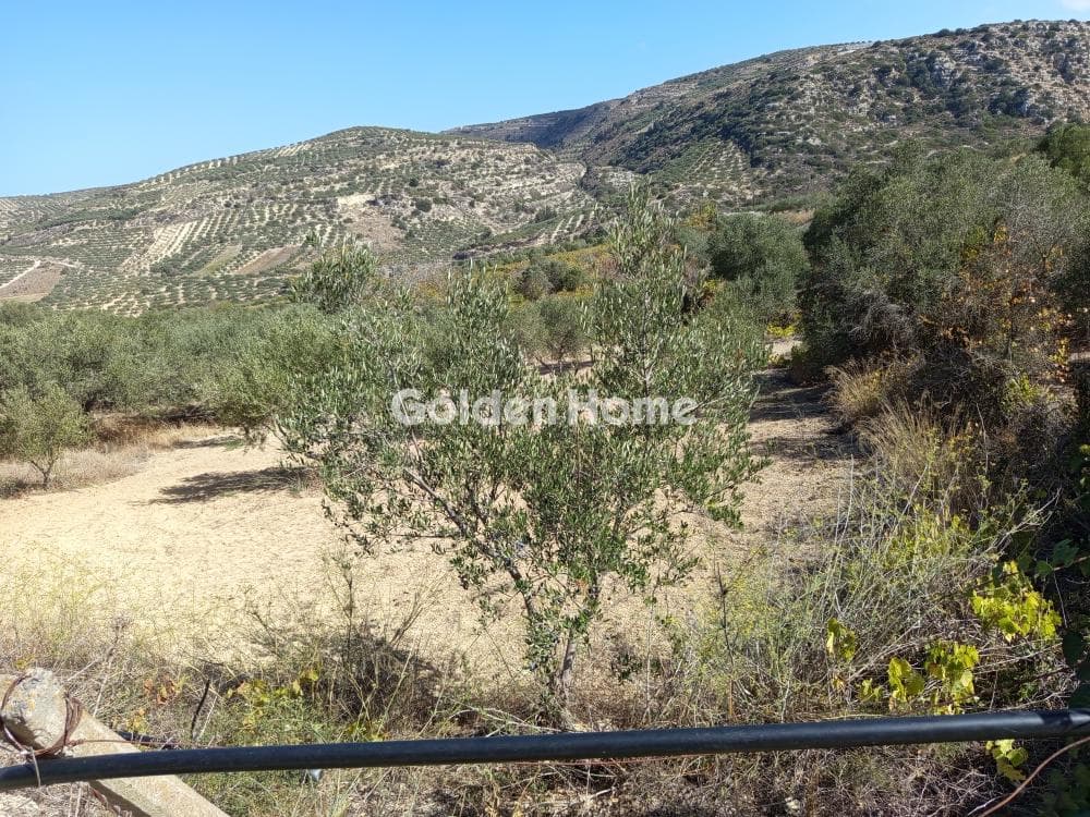 Parcel in Mirtia, Episkopi — Photo 2 of 5