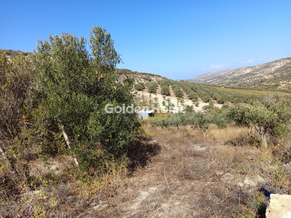 Parcel in Mirtia, Episkopi — Photo 3 of 5