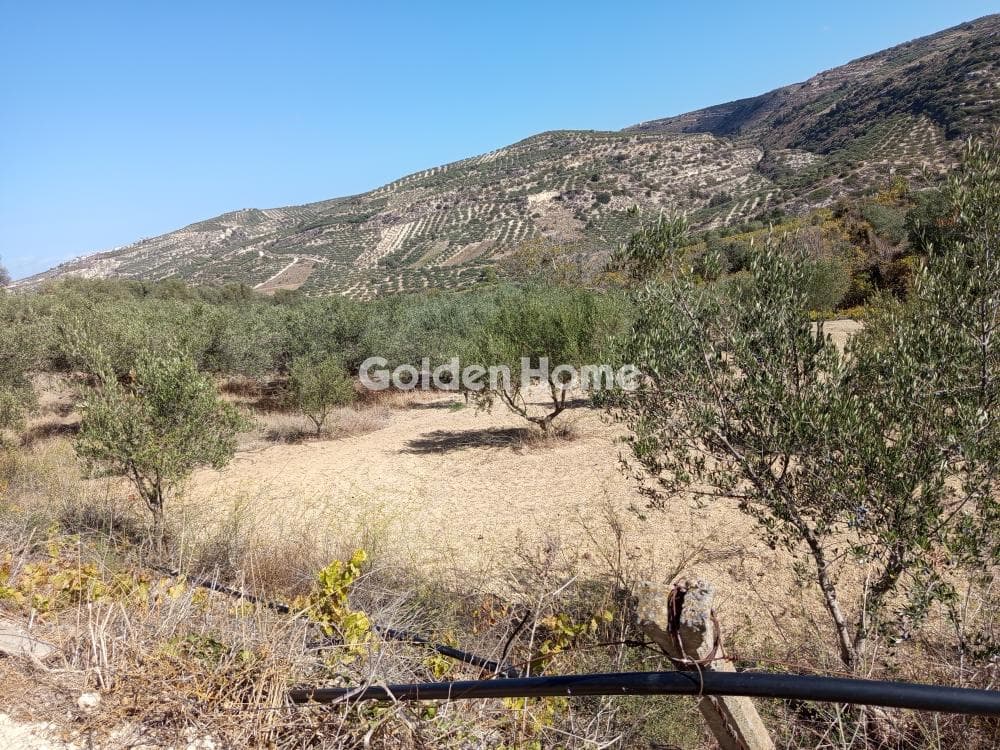 Parcel in Mirtia, Episkopi — Photo 4 of 5