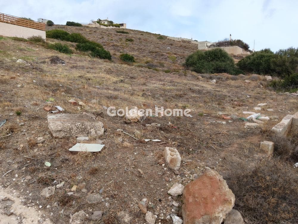 Αγροτεμάχιο στην Πεύκα, Κερατέα — Φωτογραφία 4 από 4