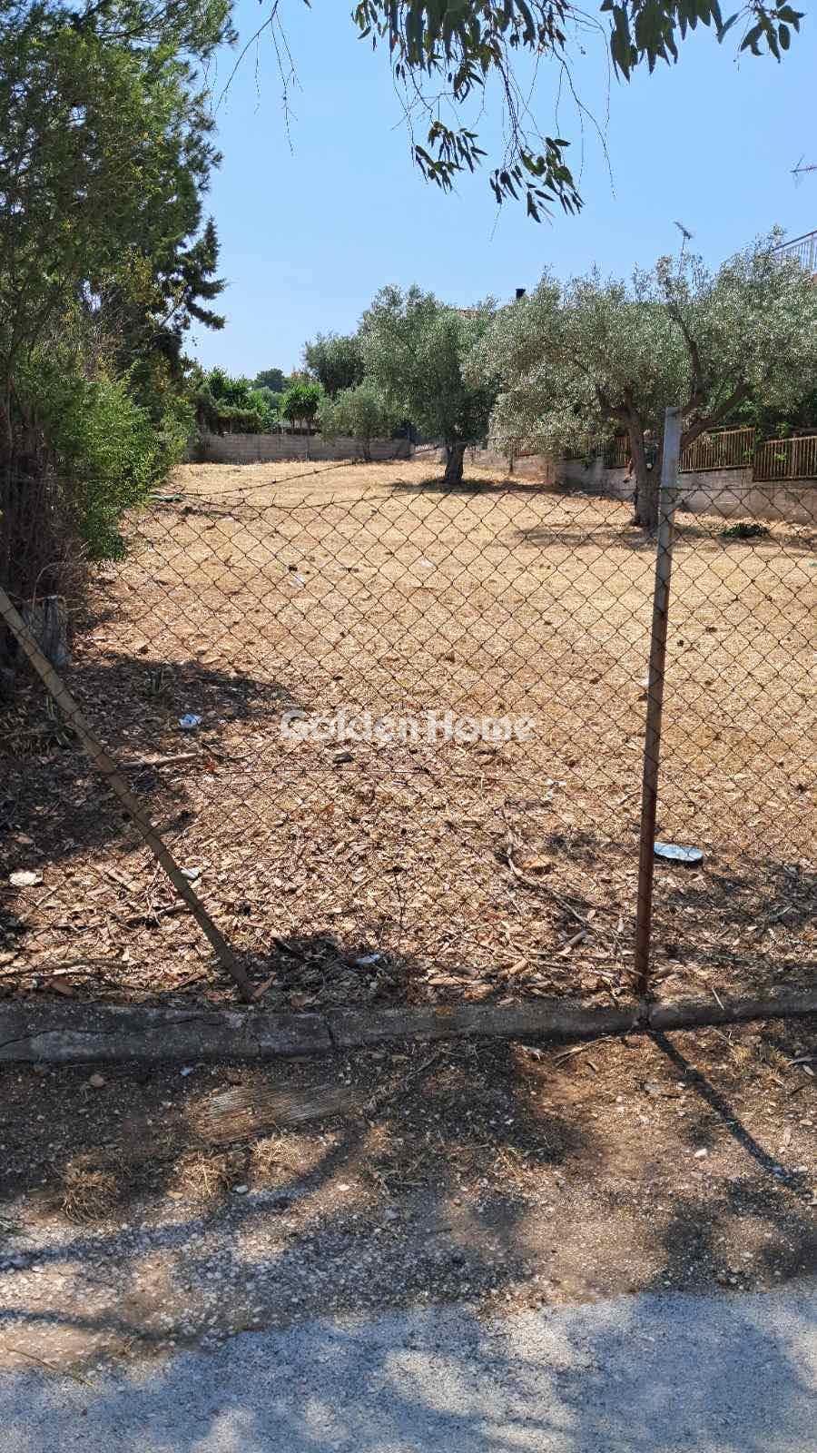 Building Plot in Agia Marina, Koropi — Photo 2 of 4