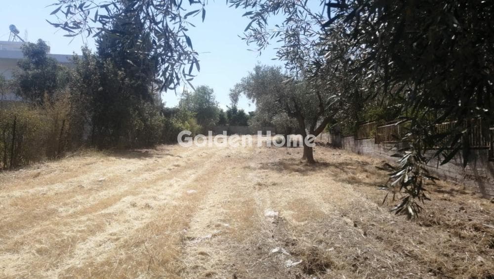 Building Plot in Agia Marina, Koropi — Photo 1 of 4