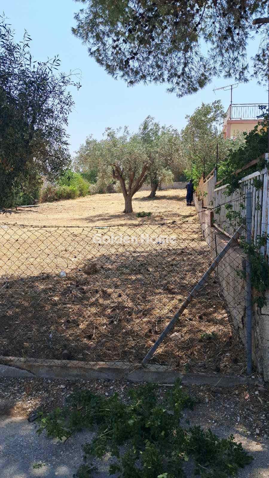 Building Plot in Agia Marina, Koropi — Photo 4 of 4