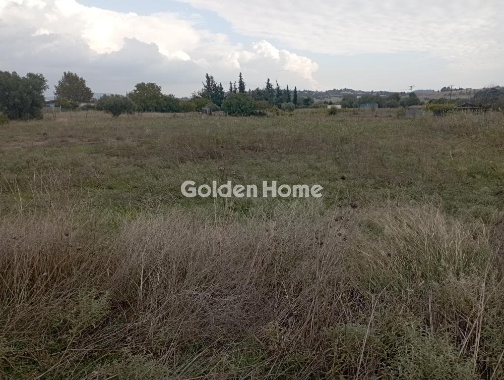 Αγροτεμάχιο στην Νέο Ρύσιο, Μίκρα — Φωτογραφία 1 από 3