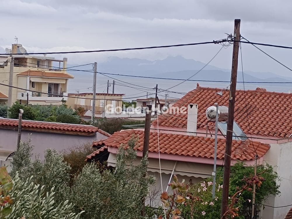Μονοκατοικία στην Βορινέζα, Αρτέμιδα (Λούτσα) — Φωτογραφία 28 από 30