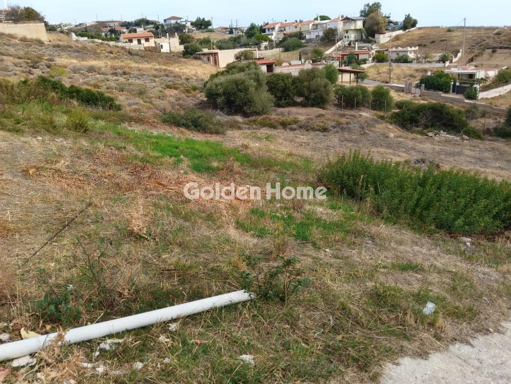 Parcel in Pefka, Keratea — Photo 4 of 5
