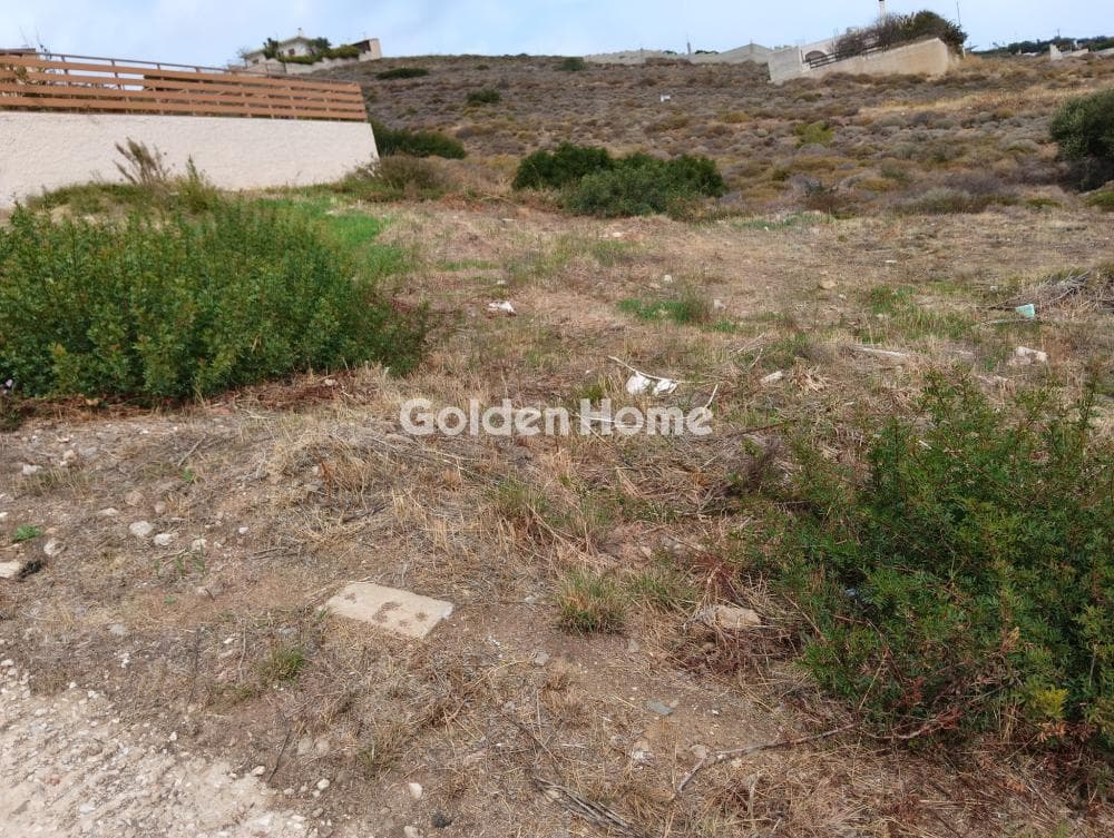 Parcel in Pefka, Keratea — Photo 5 of 5