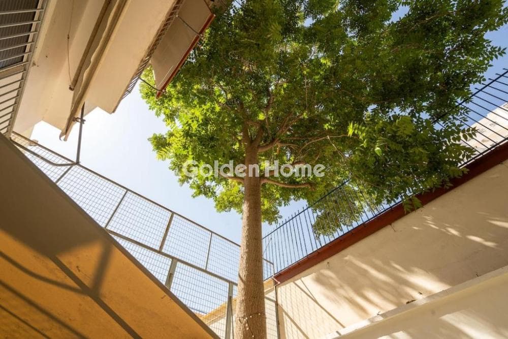 Apartment in Elinoroson, Goudi — Photo 26 of 37
