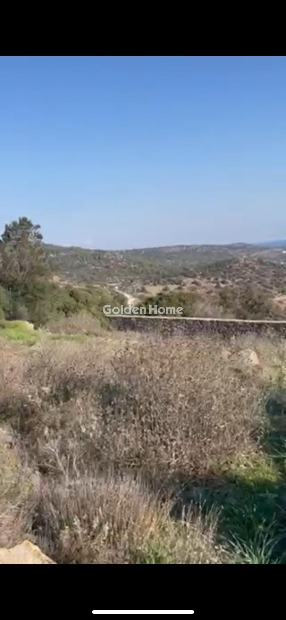 Building Plot in Anitsaio, Aegina — Photo 9 of 11