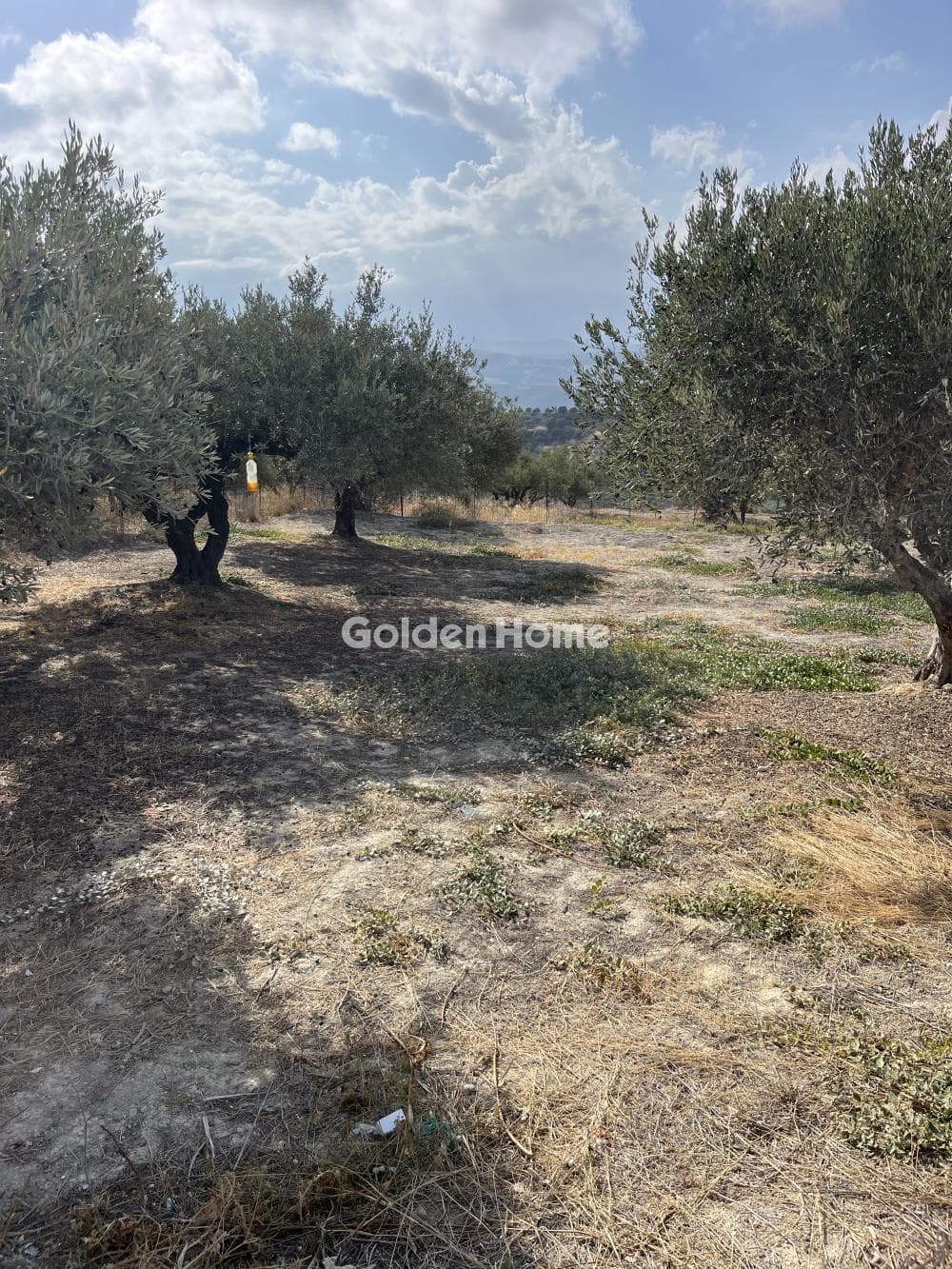 Οικόπεδο στην Σίλαμος, Αρχάνες — Φωτογραφία 1 από 2
