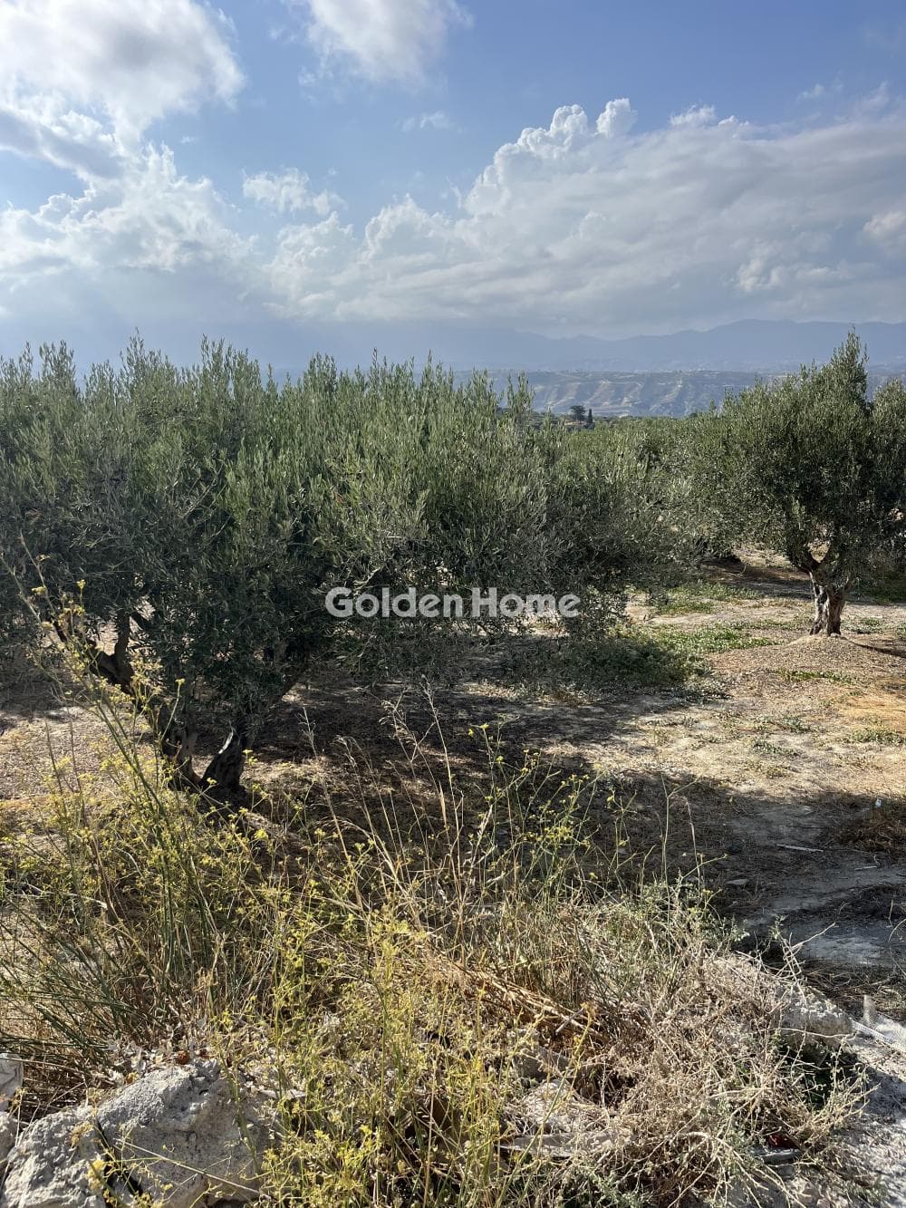 Οικόπεδο στην Σίλαμος, Αρχάνες — Φωτογραφία 2 από 2