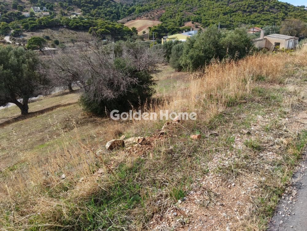Building Plot in Plaka, Keratea — Photo 5 of 19