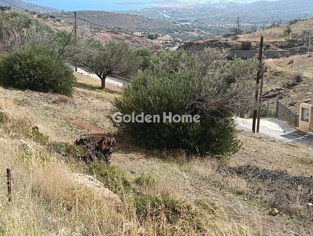 Building Plot in Plaka, Keratea — Photo 2 of 19