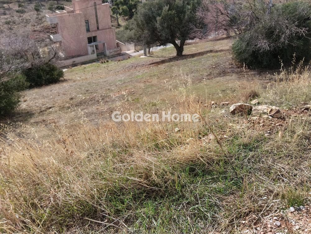 Building Plot in Plaka, Keratea — Photo 7 of 19