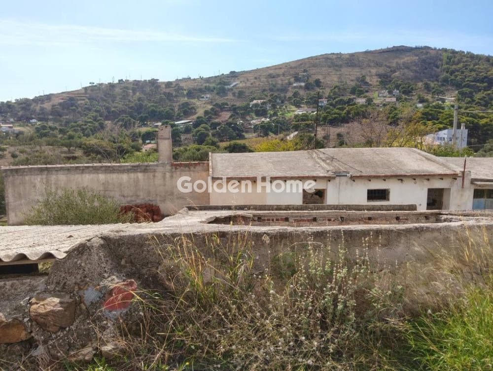 Building Plot in Plaka, Keratea — Photo 13 of 19