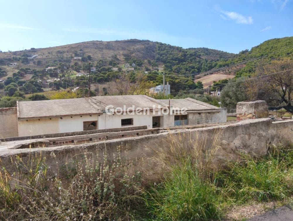 Building Plot in Plaka, Keratea — Photo 15 of 19