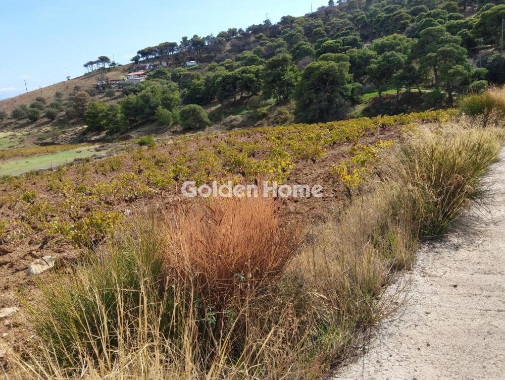 Building Plot in Plaka, Keratea — Photo 2 of 6
