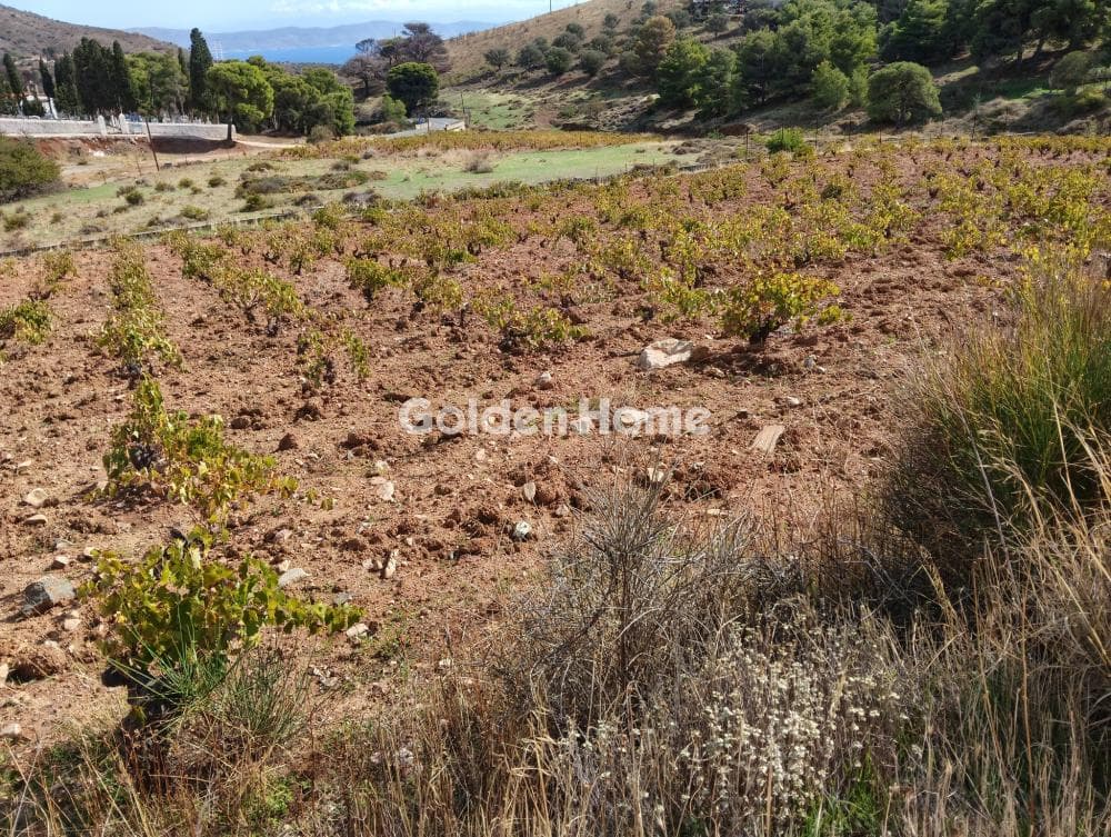 Building Plot in Plaka, Keratea — Photo 4 of 6