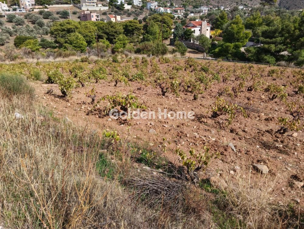 Building Plot in Plaka, Keratea — Photo 5 of 6