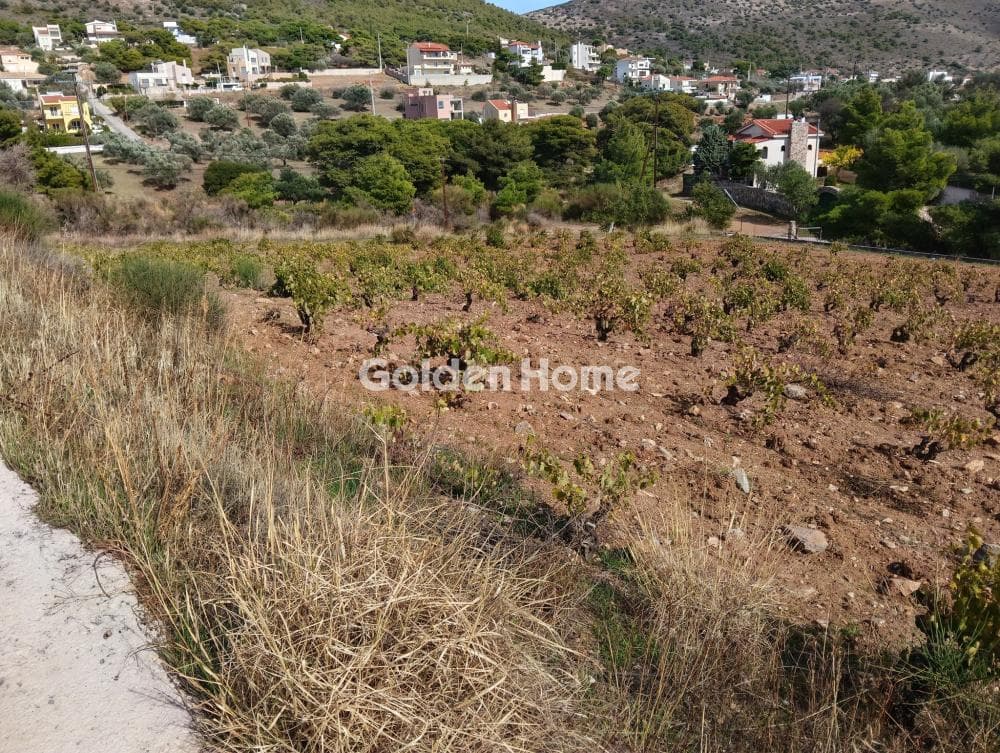 Building Plot in Plaka, Keratea — Photo 1 of 6