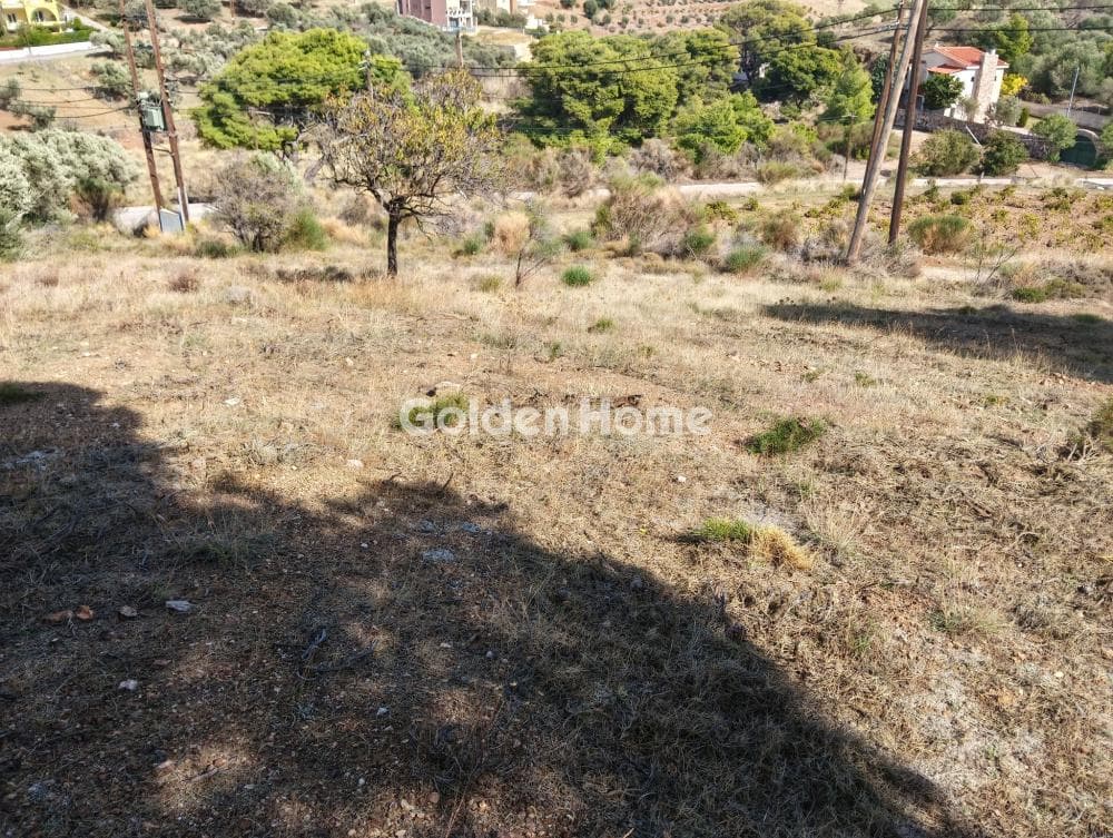 Building Plot in Plaka, Keratea — Photo 5 of 9