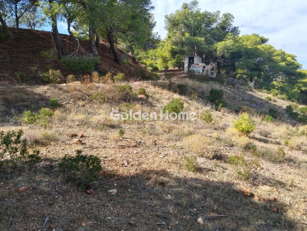 Building Plot in Plaka, Keratea — Photo 3 of 9