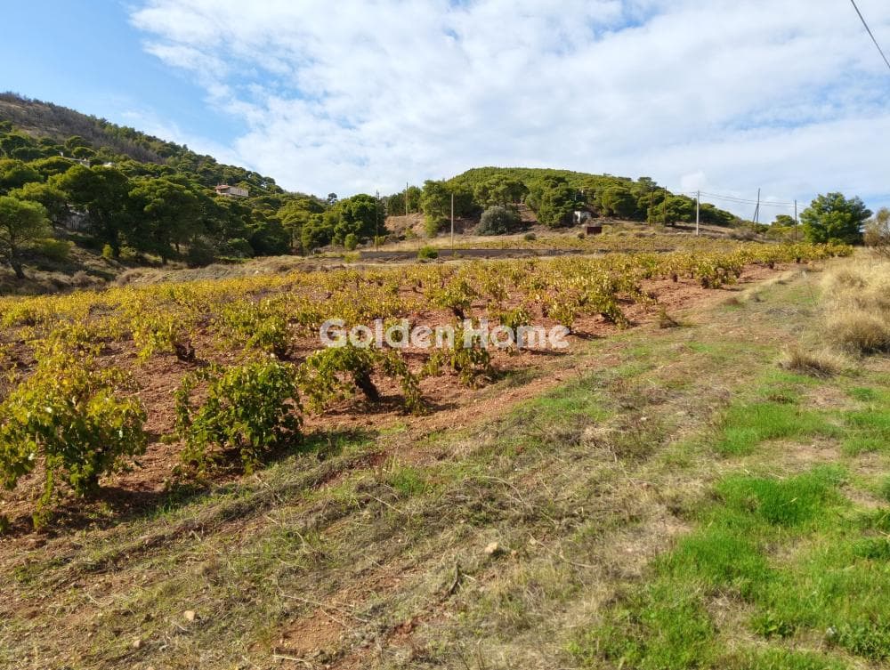 Building Plot in Plaka, Keratea — Photo 1 of 7
