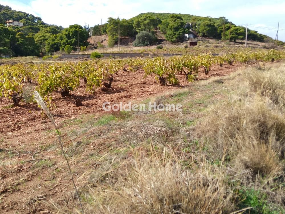 Building Plot in Plaka, Keratea — Photo 2 of 7