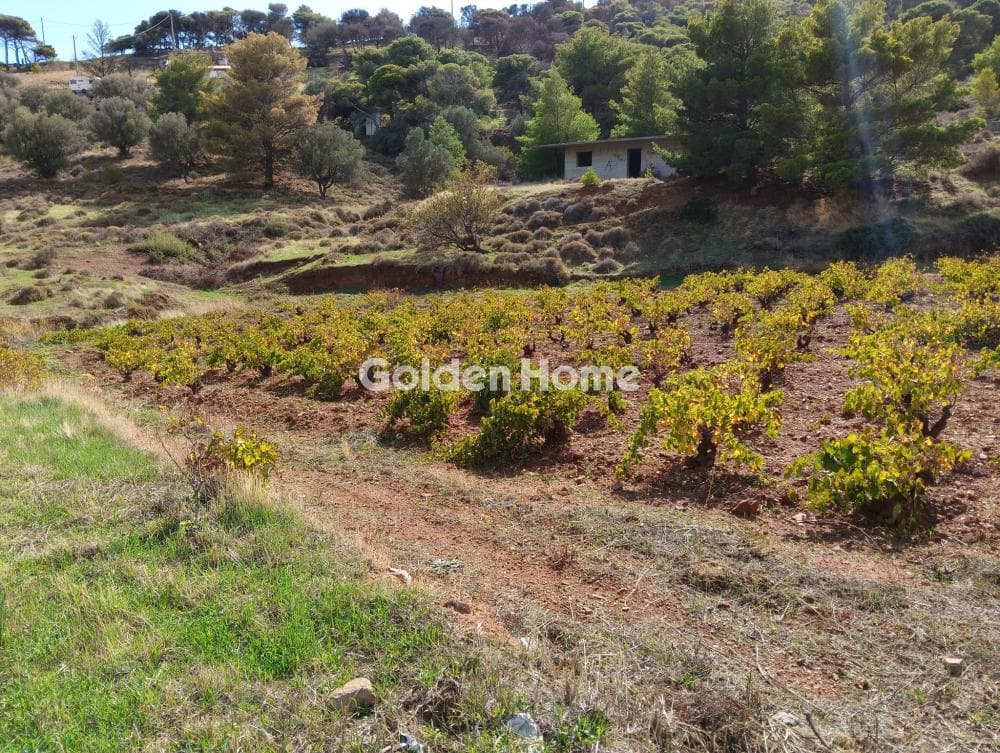 Building Plot in Plaka, Keratea — Photo 3 of 7