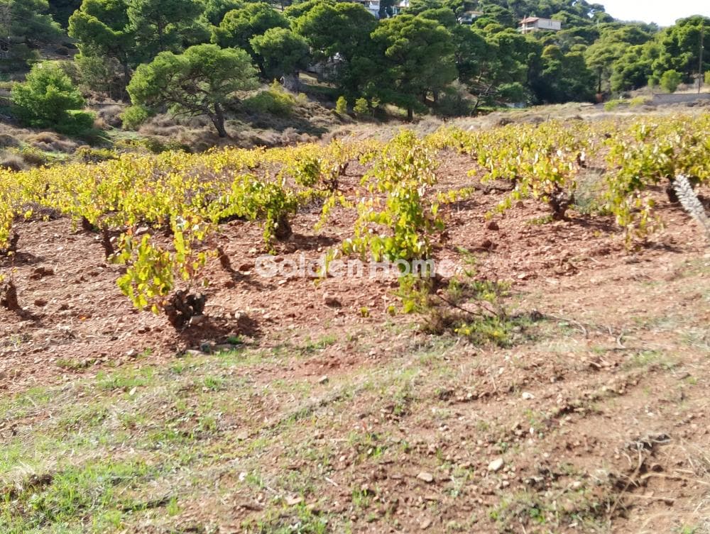 Building Plot in Plaka, Keratea — Photo 5 of 7