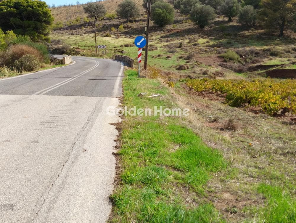 Building Plot in Plaka, Keratea — Photo 6 of 7
