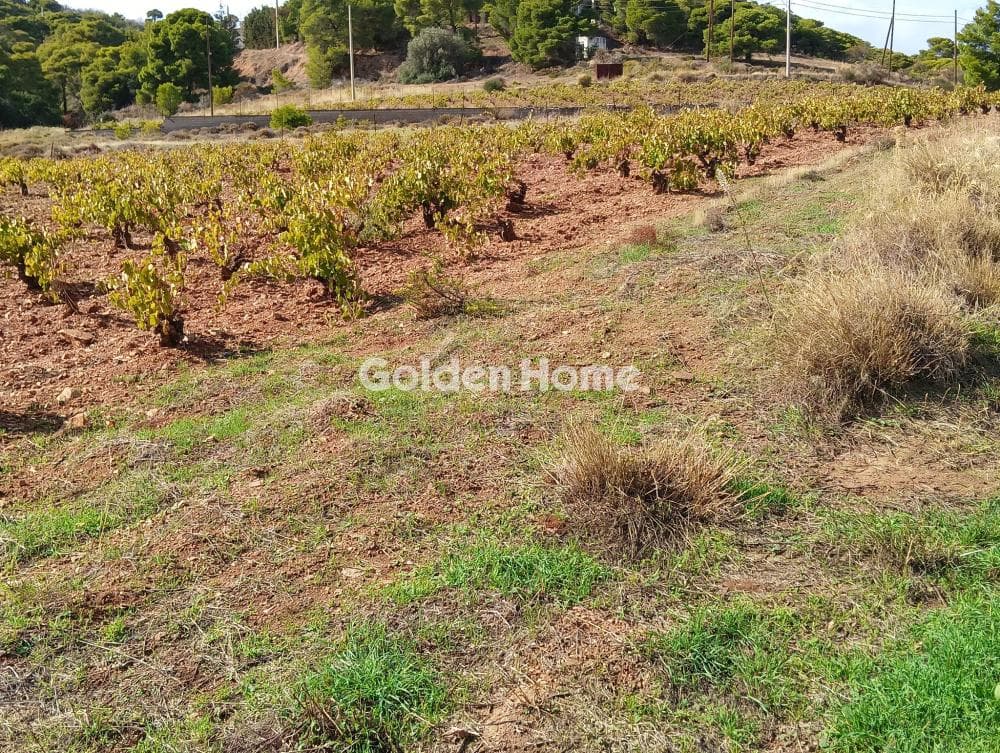 Building Plot in Plaka, Keratea — Photo 7 of 7