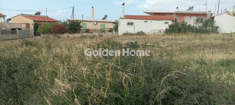 Parcel in Kalivia, Kalivia Thorikou — Photo 6 of 14