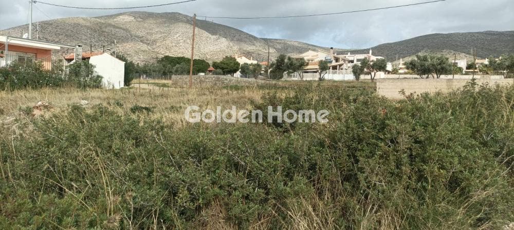 Parcel in Kalivia, Kalivia Thorikou — Photo 1 of 14