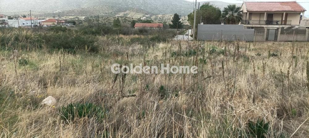 Parcel in Kalivia, Kalivia Thorikou — Photo 9 of 14