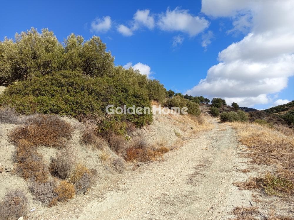 Parcel in Vathipetro, Archanes — Photo 1 of 10