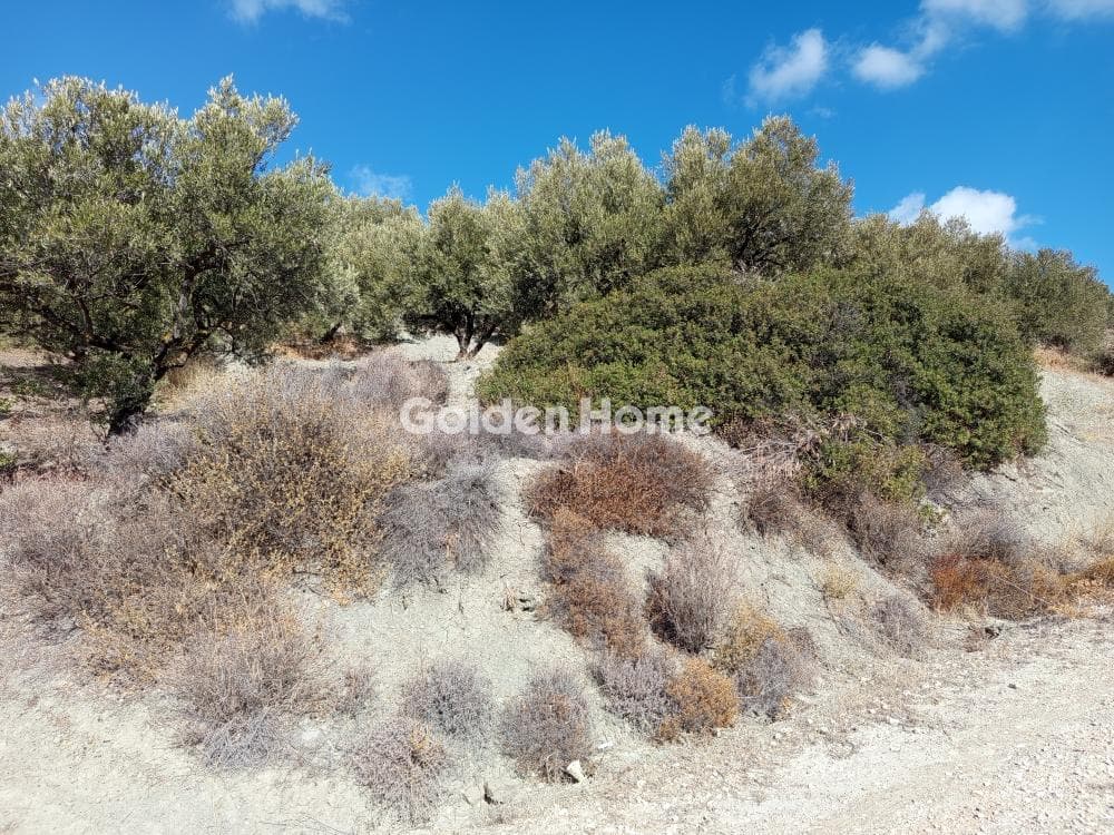 Parcel in Vathipetro, Archanes — Photo 2 of 10