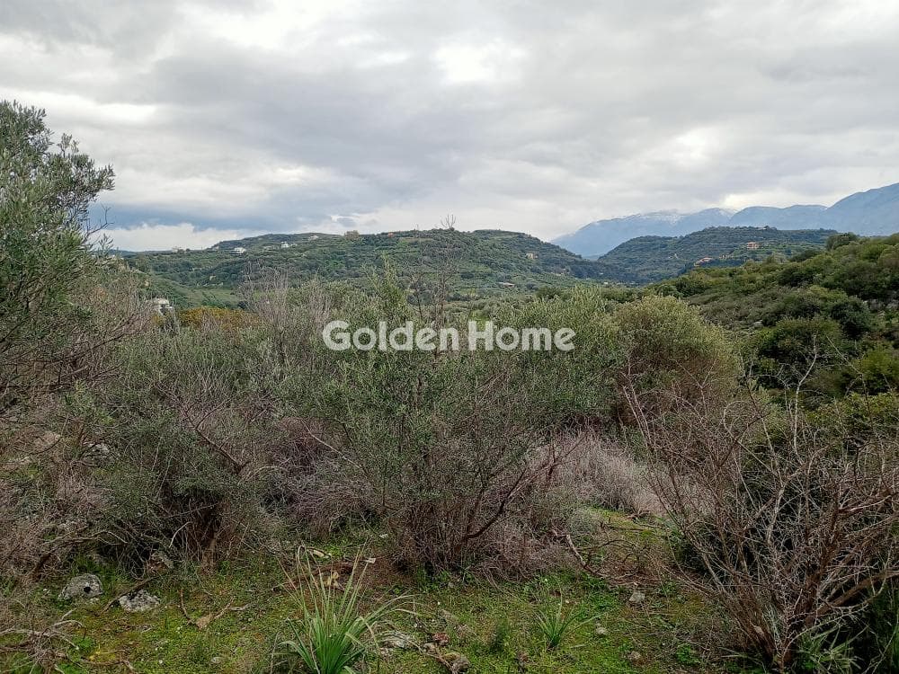 Parcel in Vathipetro, Archanes — Photo 4 of 10